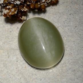 9.06캐럿 천연 그린 Actinolite Cat's Eye, 타원형 컷, 15.2×12.2 mm, 투명한