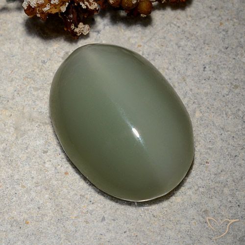 8.62ct 자연스러운 미디엄 그린 액티노라이트 캣츠아이, 타원형, 투명한