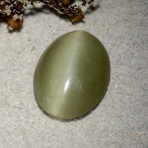 5.10캐럿 천연 노란빛 그린 Actinolite Cat's Eye, 타원형 컷, 14.4×11.2 mm, 투명한