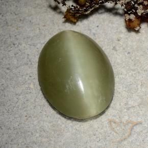 5.10캐럿 천연 노란빛 그린 Actinolite Cat's Eye, 타원형 컷, 14.4×11.2 mm, 투명한