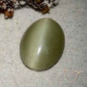 5.10캐럿 천연 노란빛 그린 Actinolite Cat's Eye, 타원형 컷, 14.4×11.2 mm, 투명한