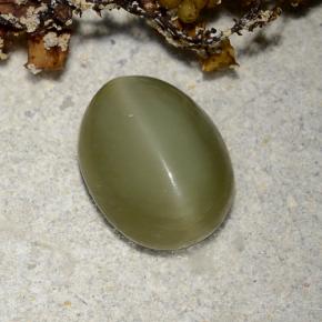 2.78캐럿 천연 그린 Actinolite Cat's Eye, 타원형 컷, 10.3×8 mm, 투명한