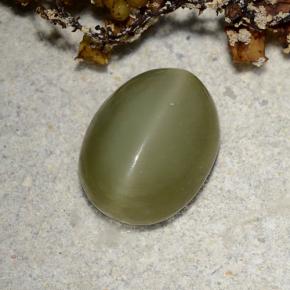 2.78캐럿 천연 그린 Actinolite Cat's Eye, 타원형 컷, 10.3×8 mm, 투명한