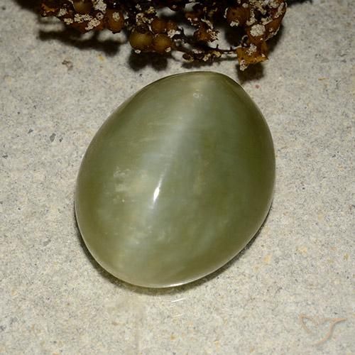 10.95ct 자연스러운 흙빛 녹색 액티노라이트 캣츠아이, 타원형, 투명한
