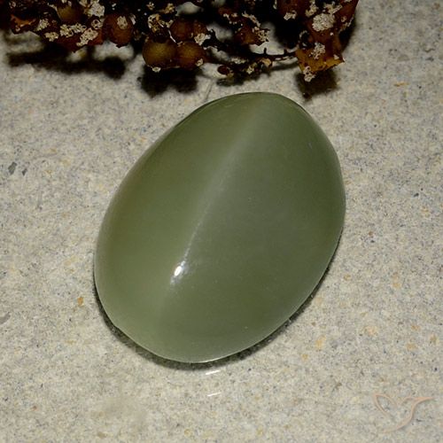 6.03ct 자연스러운 아미 그린 액티노라이트 캣츠아이, 타원형, 투명한