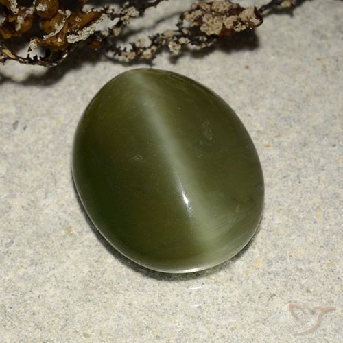 5.83ct 자연스러운 짙은 녹색 액티노라이트 캣츠아이, 타원형, 투명한