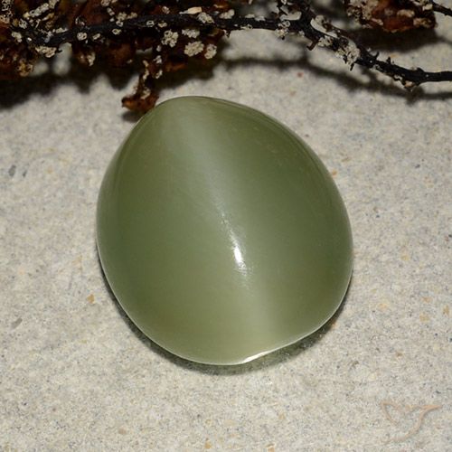 7.32ct 자연스러운 따뜻한 녹색 액티노라이트 캣츠아이, 타원형, 투명한