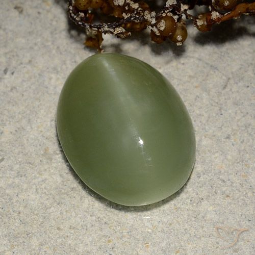 5.84ct 자연스러운 흙빛 녹색 액티노라이트 캣츠아이, 타원형, 투명한