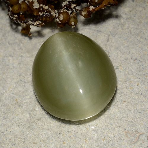 6.75ct 자연스러운 따뜻한 녹색 액티노라이트 캣츠아이, 타원형, 투명한