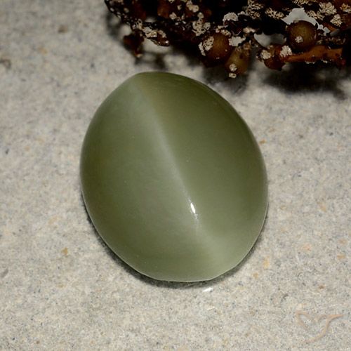 5.41캐럿 천연 흙빛 녹색 Actinolite Cat's Eye, 타원형 컷, 13.5×10.7 mm, 투명한