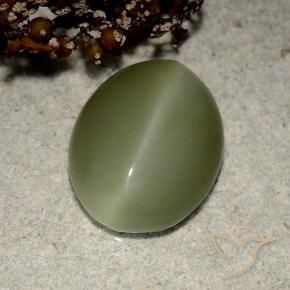 5.41캐럿 천연 흙빛 녹색 Actinolite Cat's Eye, 타원형 컷, 13.5×10.7 mm, 투명한