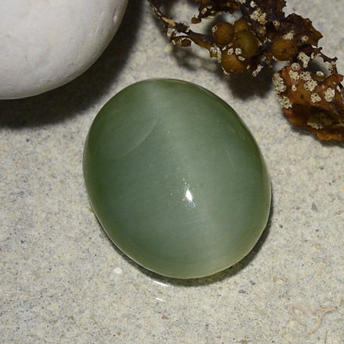 5.48ct 자연스러운 회색 녹색 액티노라이트 캣츠아이, 타원형, 투명한