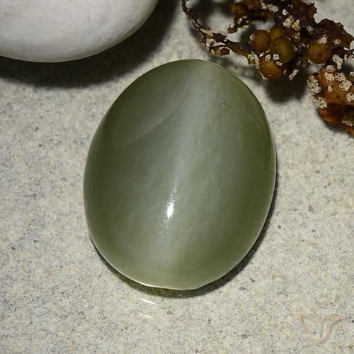 8.99ct 자연스러운 모시 그린 액티노라이트 캣츠아이, 타원형, 투명한