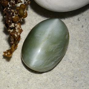 4.96캐럿 천연 그린 Actinolite Cat's Eye, 타원형 컷, 14.1×10 mm, 투명한