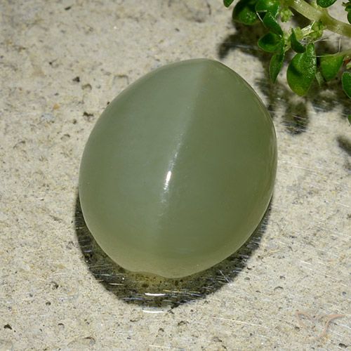 6.57ct 자연스러운 회녹색 액티노라이트 캣츠아이, 타원형, 투명한