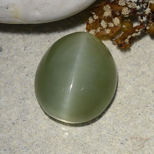 5.93ct 자연스러운 흙빛 녹색 액티노라이트 캣츠아이, 타원형, 투명한