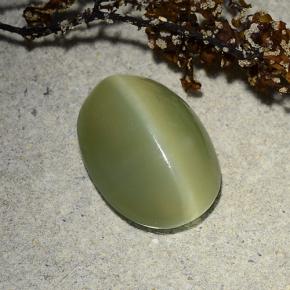 4.89캐럿 천연 그린 Actinolite Cat's Eye, 타원형 컷, 13.5×9.9 mm, 투명한