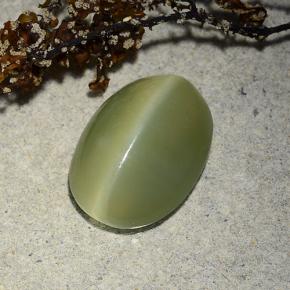 4.89캐럿 천연 그린 Actinolite Cat's Eye, 타원형 컷, 13.5×9.9 mm, 투명한