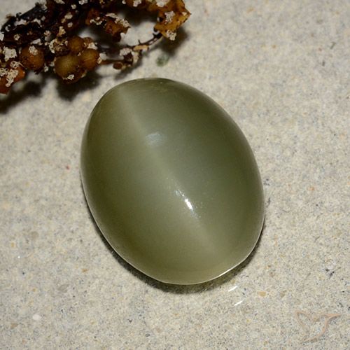 7.05ct 자연스러운 딥그린 액티노라이트 캣츠아이, 타원형, 투명한
