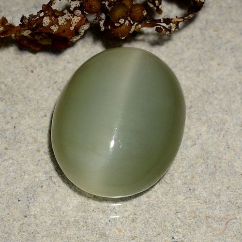 5.10ct 자연스러운 황록색 액티노라이트 캣츠아이, 타원형, 투명한
