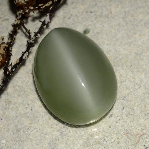 6.84ct 자연스러운 따뜻한 녹색 액티노라이트 캣츠아이, 타원형, 투명한