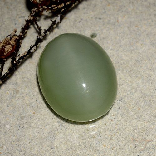 6.99ct 자연스러운 따뜻한 녹색 액티노라이트 캣츠아이, 타원형, 투명한