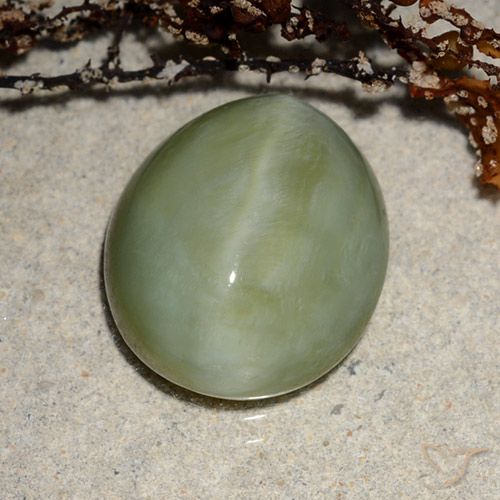 6.52ct 자연스러운 따뜻한 녹색 액티노라이트 캣츠아이, 타원형, 투명한