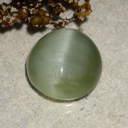 4.90ct 자연스러운 따뜻한 녹색 액티노라이트 캣츠아이, 타원형, 투명한