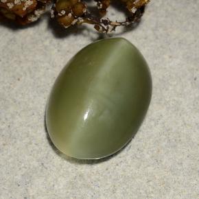 4.69캐럿 천연 그린 Actinolite Cat's Eye, 타원형 컷, 13.6×9.7 mm, 투명한