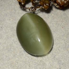 4.69캐럿 천연 그린 Actinolite Cat's Eye, 타원형 컷, 13.6×9.7 mm, 투명한