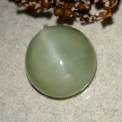 6.42ct 자연스러운 따뜻한 녹색 액티노라이트 캣츠아이, 타원형, 투명한