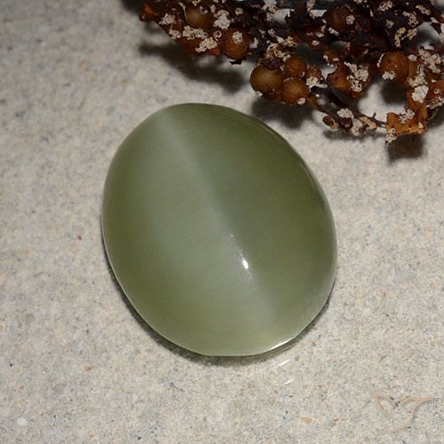 6.21ct 자연스러운 회녹색 액티노라이트 캣츠아이, 타원형, 투명한
