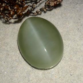 8.86캐럿 천연 그린 Actinolite Cat's Eye, 타원형 컷, 16.4×12.4 mm, 투명한