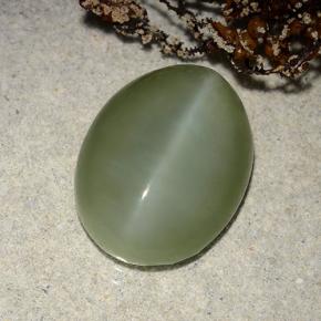 8.86캐럿 천연 그린 Actinolite Cat's Eye, 타원형 컷, 16.4×12.4 mm, 투명한