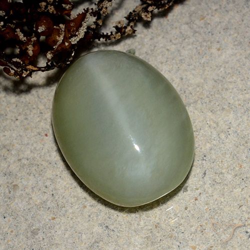 5.43ct 자연스러운 갈색을 띤 녹색 액티노라이트 캣츠아이, 타원형, 투명한
