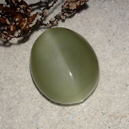8.10ct 자연스러운 갈색을 띤 녹색 액티노라이트 캣츠아이, 타원형, 투명한