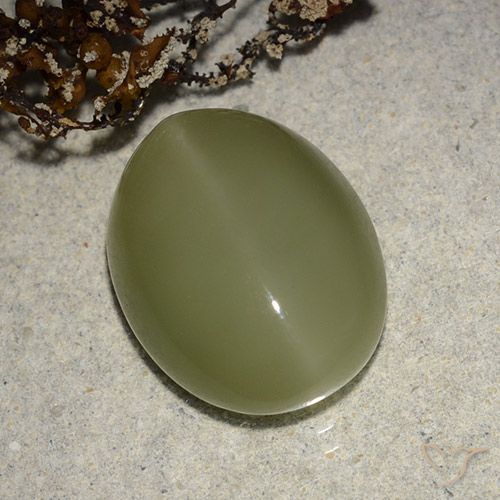 8.14ct 자연스러운 황록색 액티노라이트 캣츠아이, 타원형, 투명한