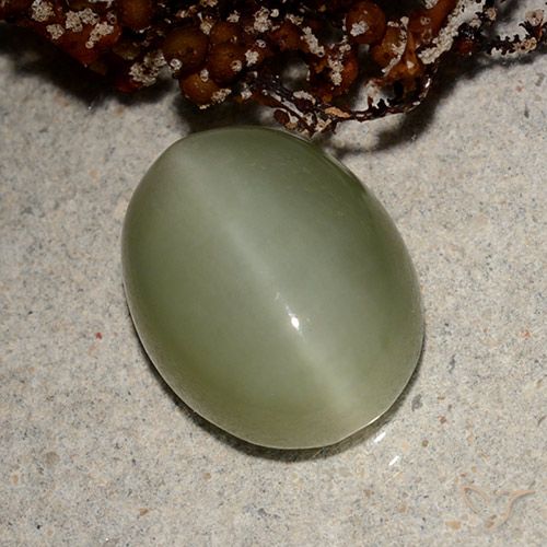 5.66ct 자연스러운 흙빛 녹색 액티노라이트 캣츠아이, 타원형, 투명한