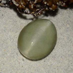 2.40캐럿 천연 그린 Actinolite Cat's Eye, 타원형 컷, 10.4×8.2 mm, 투명한