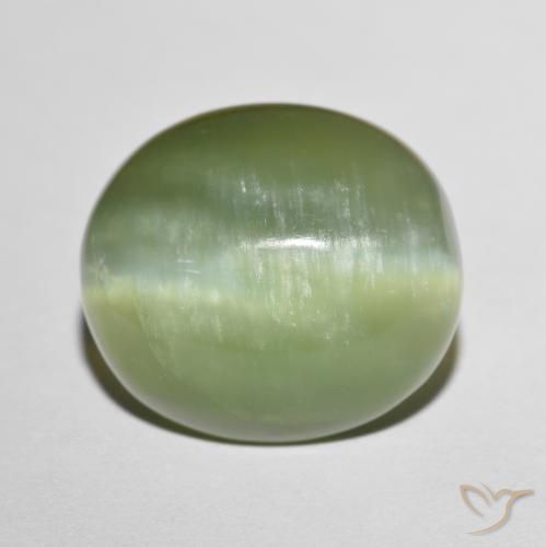 8.75ct 자연스러운 창백한 지구 녹색 액티노라이트 캣츠아이, 타원형, 투명한