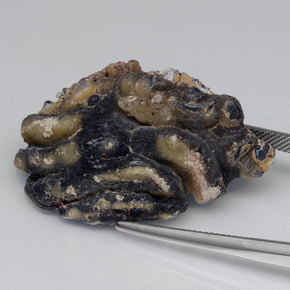 61.00캐럿 천연 다색 마노 지오드, 멋진 모양, 불투명체