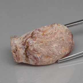 44.32캐럿 천연 멀티컬러 아게이트 지오드, 멋진 모양, 35.5×18.4 mm, 불투명체