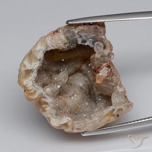 40.83ct 자연스러운 다색 마노 지오드, 팬시한, 불투명체