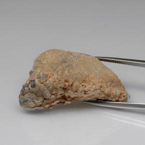 55.91캐럿 천연 멀티컬러 아게이트 지오드, 멋진 모양, 38.7×24.7 mm, 불투명체
