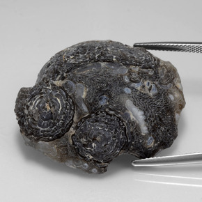 65.22캐럿 천연 멀티컬러 아게이트 지오드, 멋진 모양, 36.2×31.3 mm, 불투명체