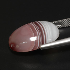 13.03캐럿 천연 멀티컬러 아게이트, 타원형 컷, 18.7×13.4 mm, 불투명체