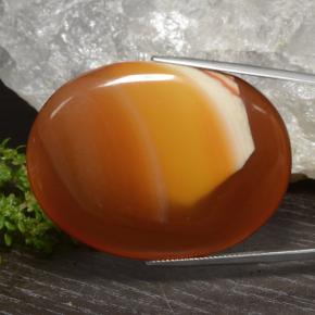 81.88캐럿 천연 멀티컬러 아게이트, 타원형 컷, 45.4×34.1 mm, 투명한