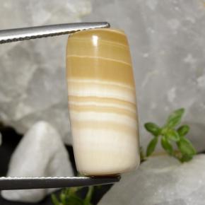 19.47캐럿 천연 멀티컬러 아게이트, 멋진 모양, 20.6×9.7 mm, 투명한