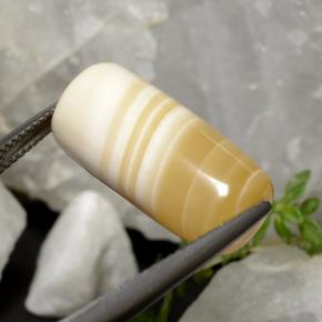 19.47캐럿 천연 멀티컬러 아게이트, 멋진 모양, 20.6×9.7 mm, 투명한