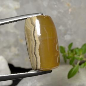 18.27캐럿 천연 멀티컬러 아게이트, 멋진 모양, 17.8×10.5 mm, 투명한